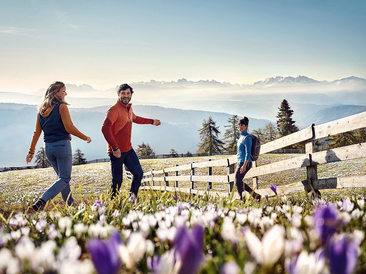 Ein Platz im Südtiroler Frühling IDM Südtirol
